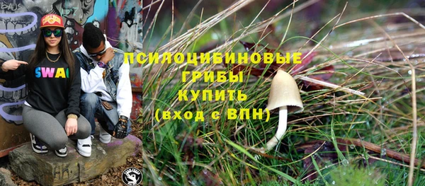 spice Алзамай