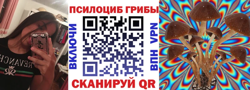 Псилоцибиновые грибы Psilocybine cubensis  цена   omg ССЫЛКА  Большой Камень 